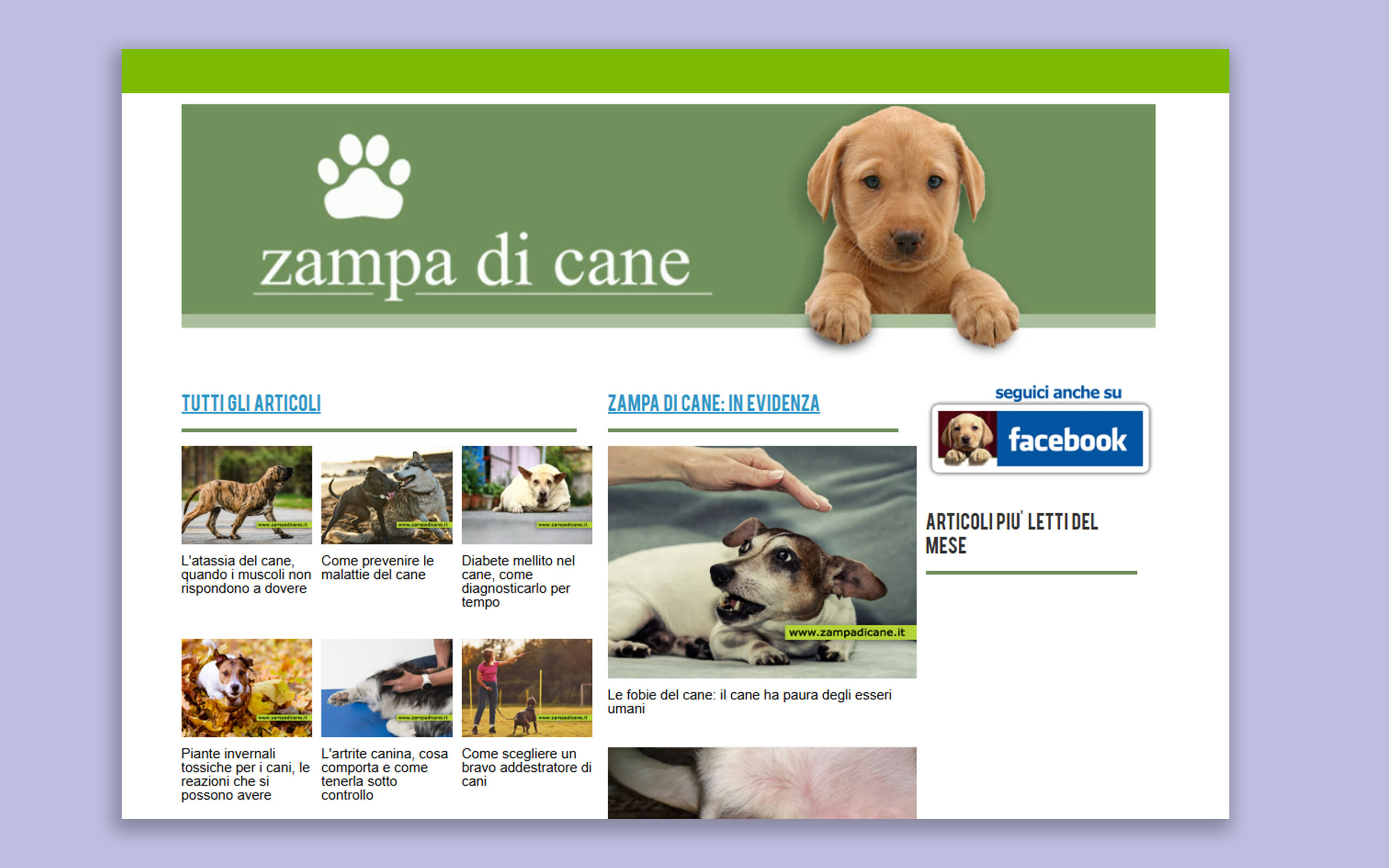 Sito web Zampa di Cane